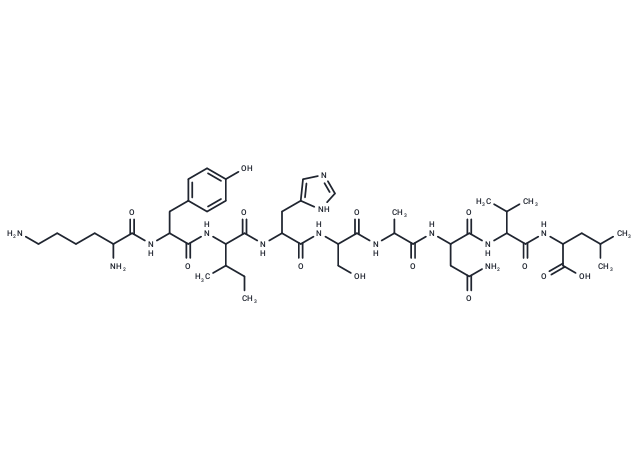 MAP kinase fragment [Multiple species]