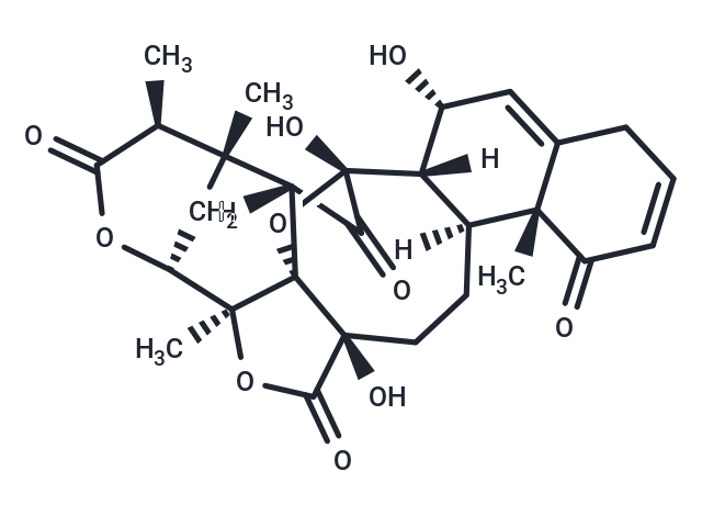 Physalin O