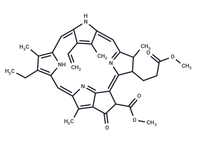 Methylpheophorbide A