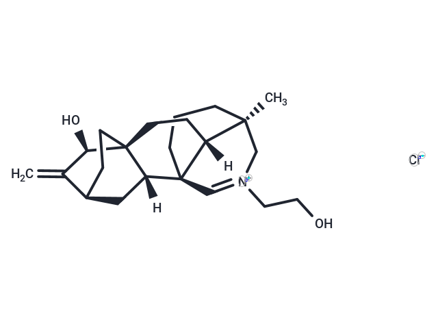 Guanfu base H