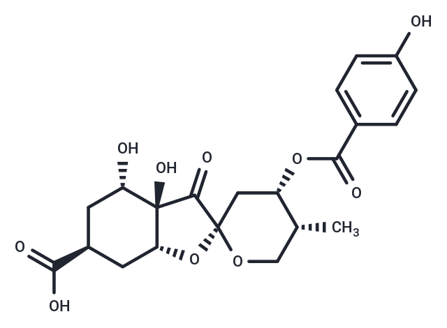 Glochicoccin D