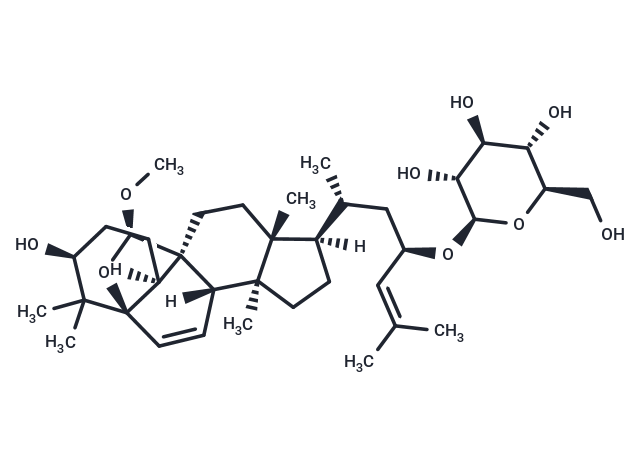 Taikuguasin D