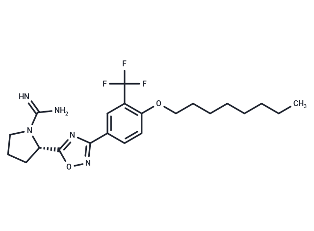 SLM6031434 (free base)