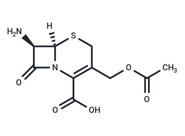 7-Aminocephalosporanic acid