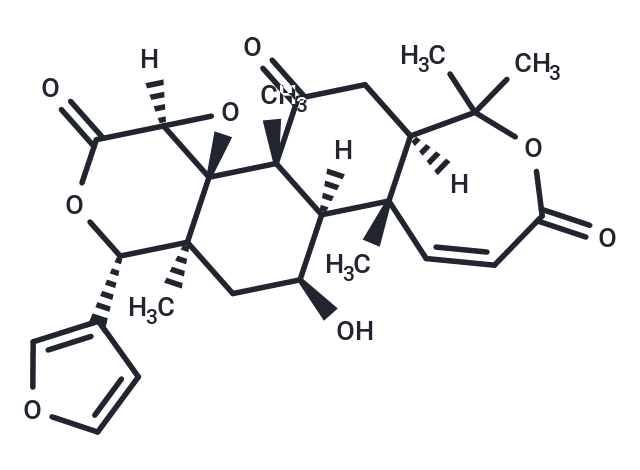 Zapoterin