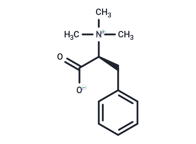 Phenylalanine betaine