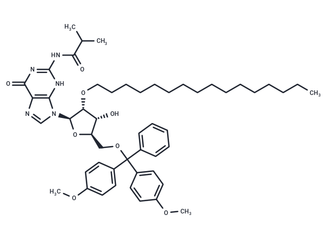 N2-iBu-5'-O-DMTr-2'-O-hexadecanyl guanosine