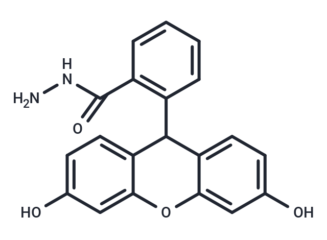 Fluorescein hydrazide