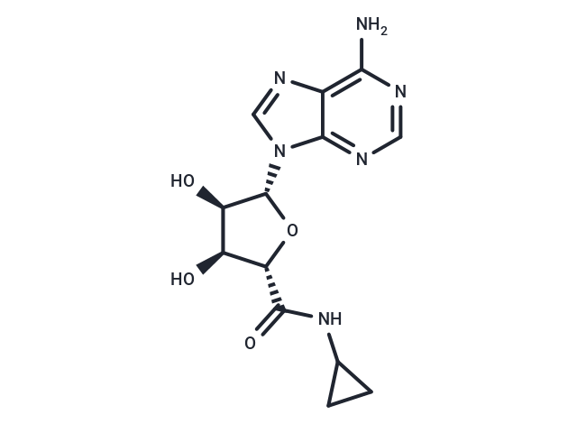 5'-(N-Cyclopropyl)carboxamidoadenosine