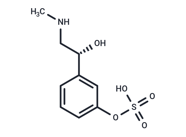 Phenylephrine-3-O-Sulfate