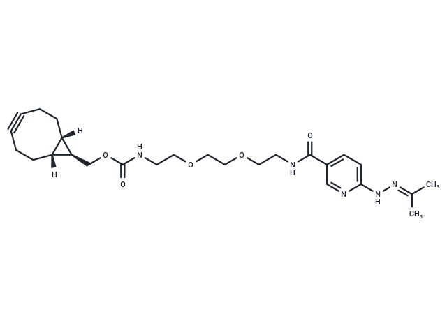 BCN-PEG4-HyNic