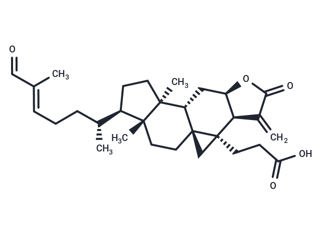 Coronalolide