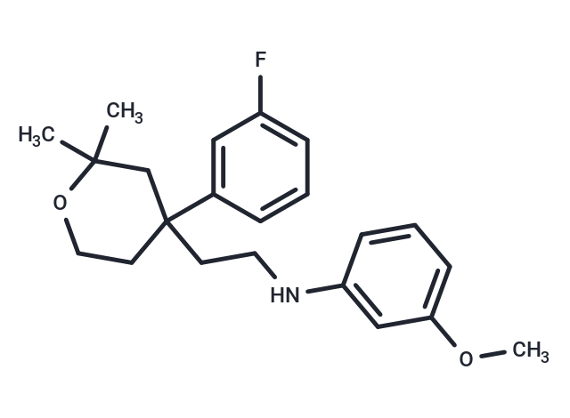 ICMT-IN-28