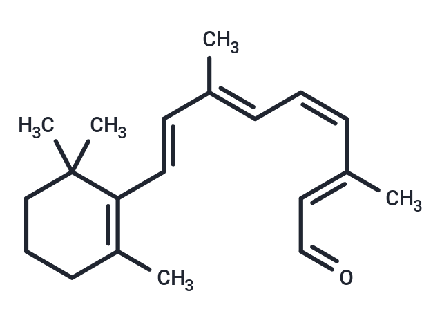 11-cis Retinal