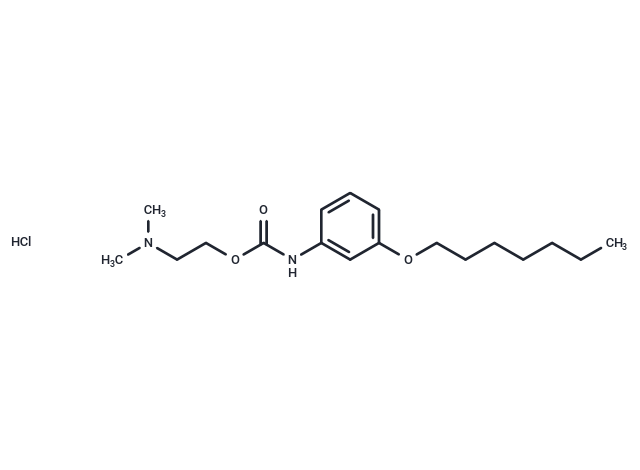 Carbanilic acid, m-heptyloxy-, 2-(dimethylamino)ethyl ester, hydrochloride