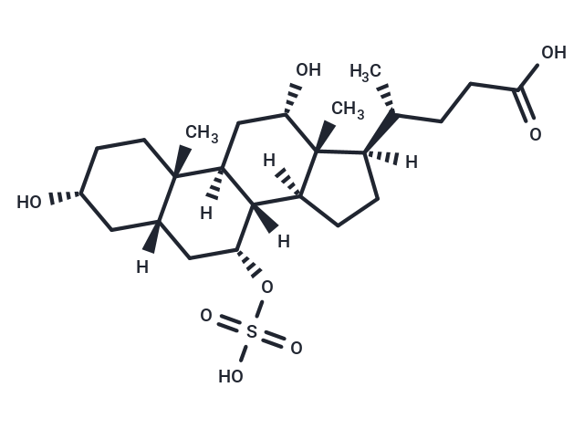 Cholic Acid 7-sulfate