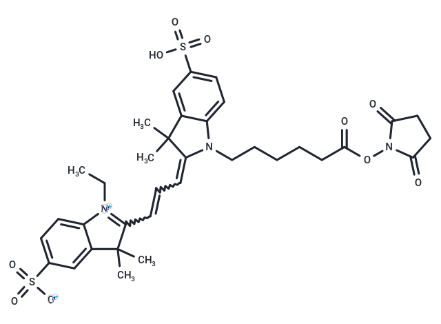 CY3-SE