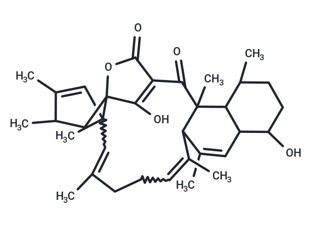 Tetromycin B