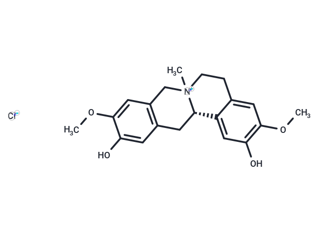 Phellodendrine chloride