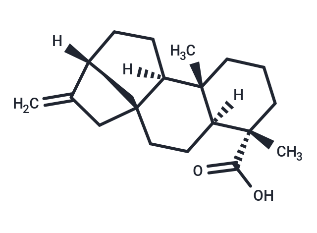 Argyrophilic acid