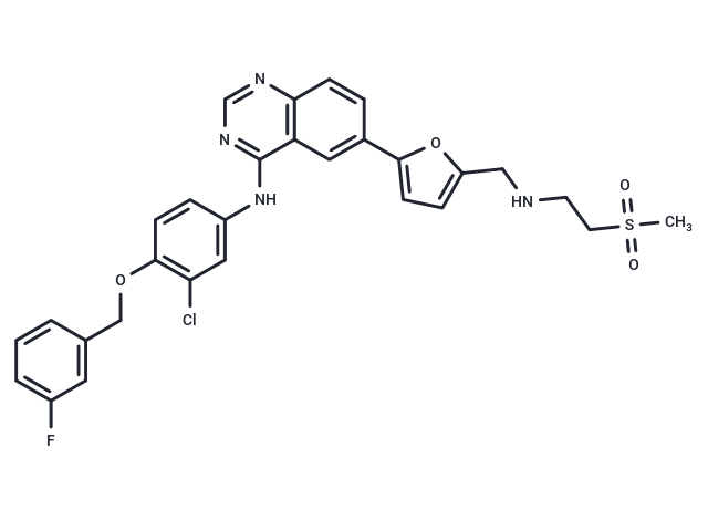 Lapatinib