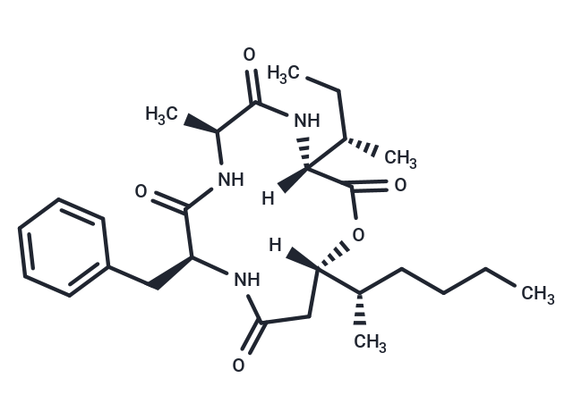 Beauveriolide III