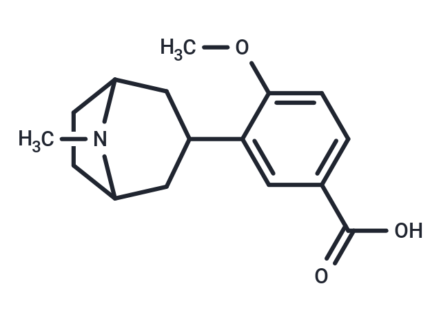 Datumetine