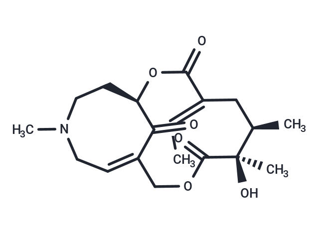 Neosenkirkine