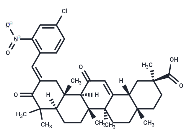 GA-O-02