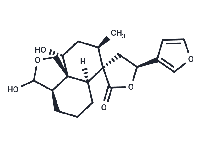 Teukotschyn