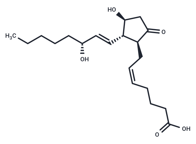 ent-Prostaglandin E2