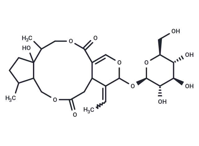 Isojasminin