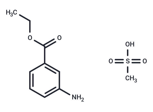 Tricaine methanesulfonate