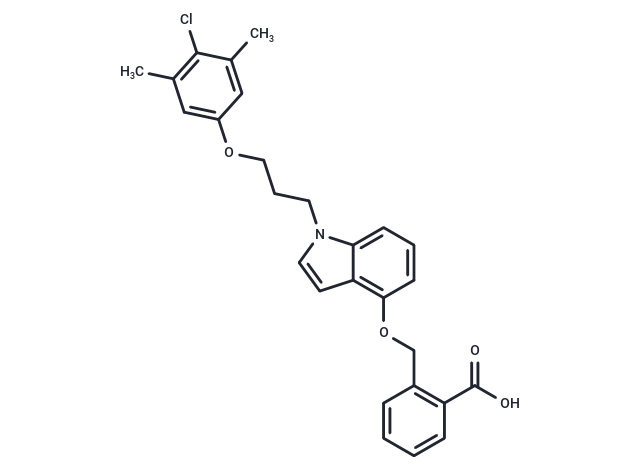 Bcl-2/Mcl-1-IN-3