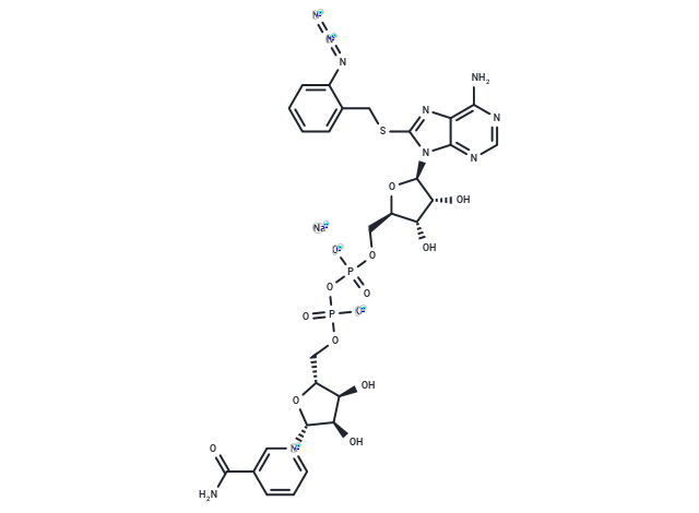 8-(2-azidobenzylthio) NAD+ sodium