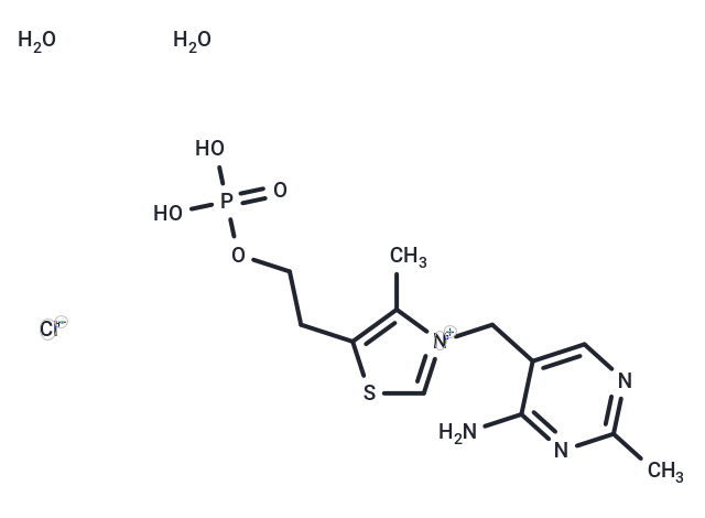 Thiamine monophosphate chloride (dihydrate)