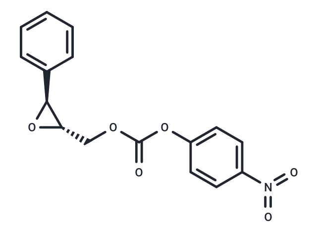 S-NEPC