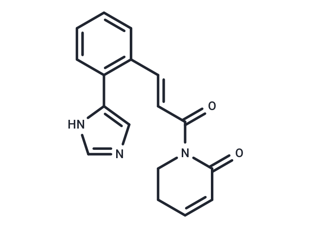 ZC0101