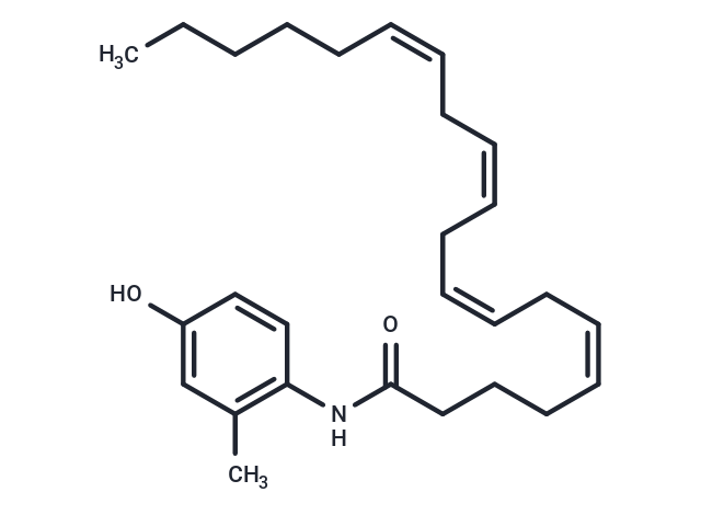 VDM 11