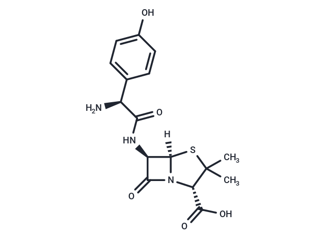 Amoxicillin, L-