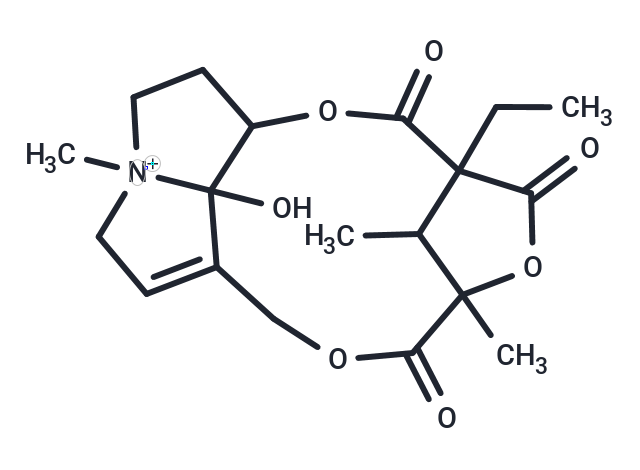 Retusamine