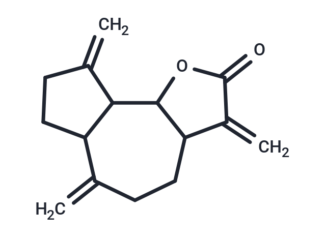 Dehydrocostuslactone