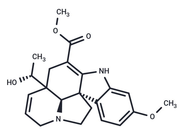 Vandrikidine