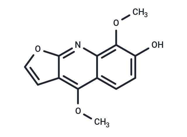 Haplopine