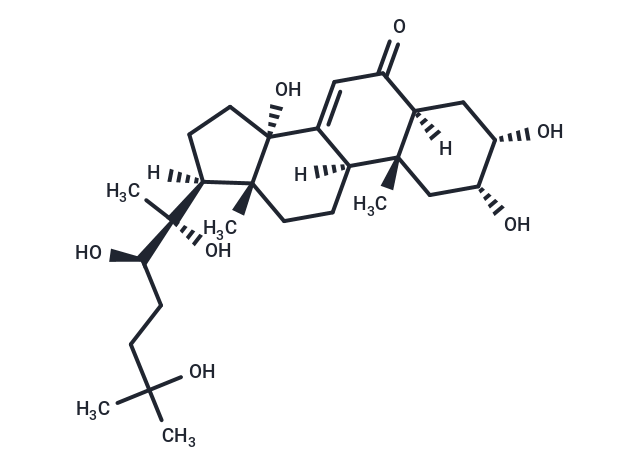 Rhapontisterone B