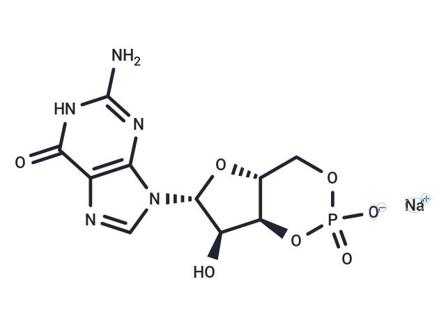 GUANOSINE 3':5'-CYCLIC MONOPHOSPHATE SOD