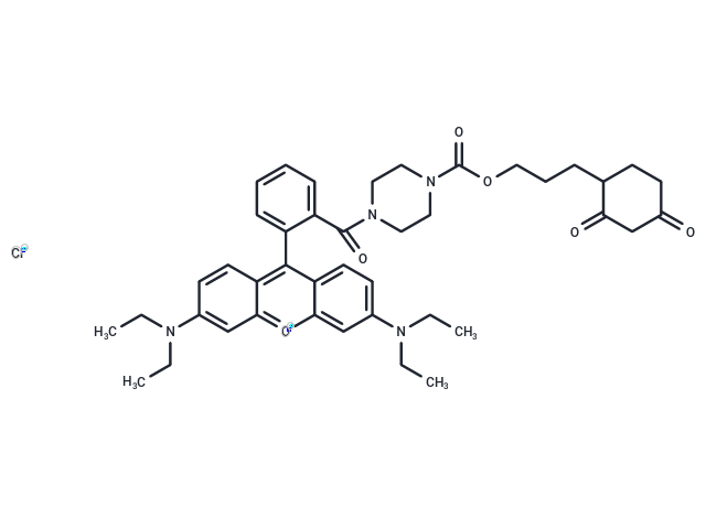 DCP-Rho1