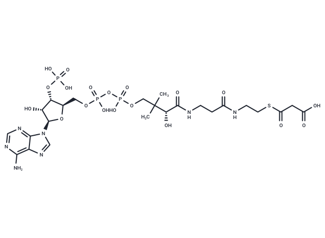 Malonyl CoA