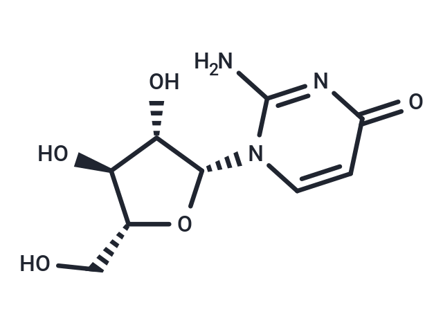 Arabinoisocytidine