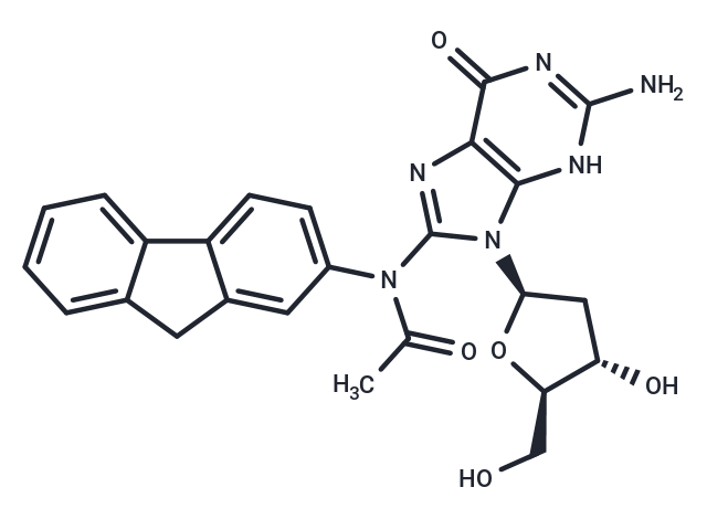 Acetylaminofluorene-dG